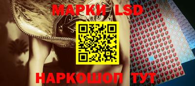a pvp Свободный