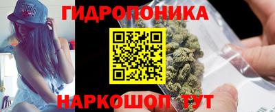 a pvp Свободный