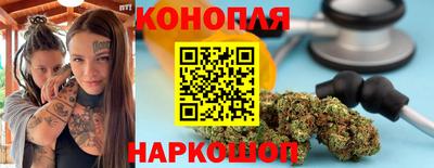 a pvp Свободный